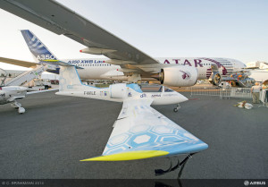 19052014_efan03
